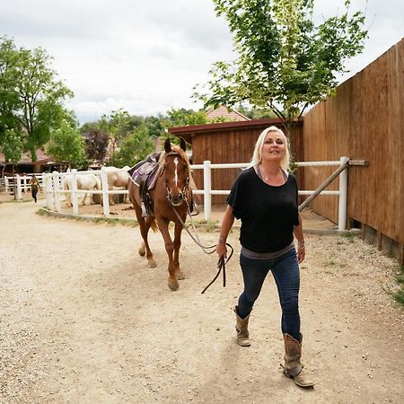 Ranchzimmer Am Hippo-Campus Reit- Und Therapiezentrum Deutsch Haslau Eksteriør billede