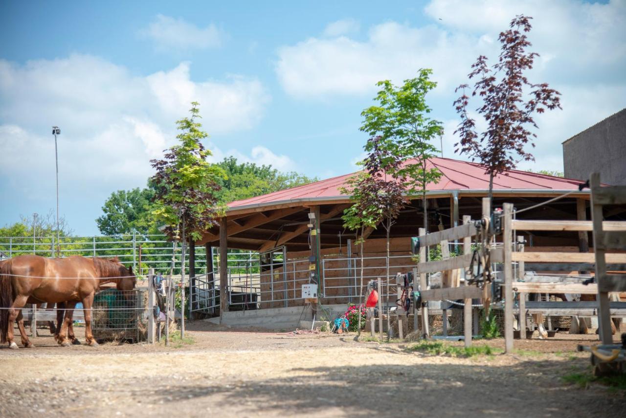 Ranchzimmer Am Hippo-Campus Reit- Und Therapiezentrum Deutsch Haslau Eksteriør billede